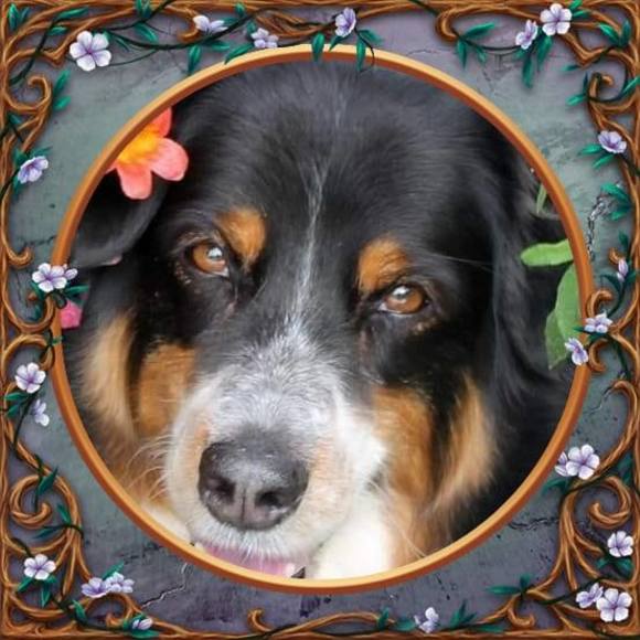 Meet your Posher, Kim - Picture 1 of 1